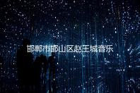 邯郸市邯山区赵王城音乐季“人才夜市”聚引英才——河北