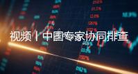 视频丨中国专家协同排查尼泊尔泥石流灾区受损隧道