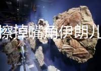 还没擦掉嘴角伊朗儿童的血，他们又来吃中国的“人血馒头”