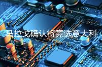 马拉戈确认将竞选意大利足协主席：需遵循程序并拿到手足够力挺