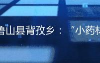 鲁山县背孜乡：“小药材”开出“致富方”
